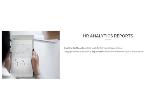 Mentis hrms Analytics Reports