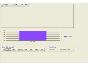 Sales report Month Wise Records Screen