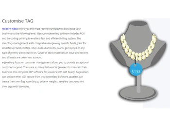 Modernweb -E-Jewellery Software customize tag