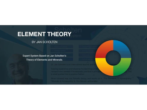 hompath element theory expert system-theory
