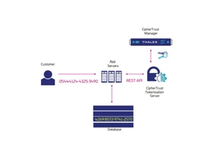 gemalto saffenet tockenization token format