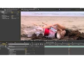 Re Vision Effections