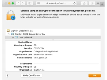 GeoTrust True BusinessID Wildcard