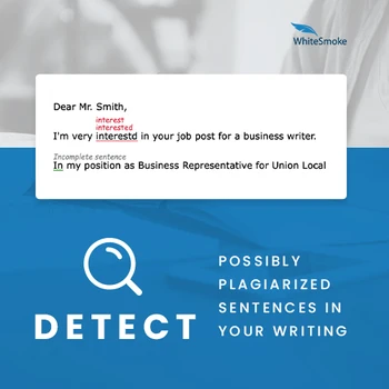 White Smoke Correct Desktop detect