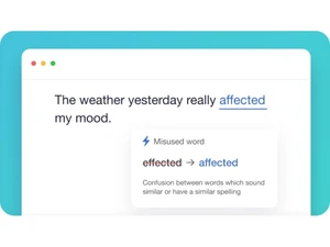ginger grammar checker misused