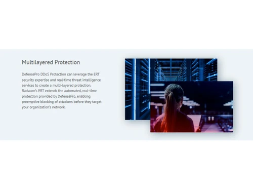 Radware DefensePro multilayered
