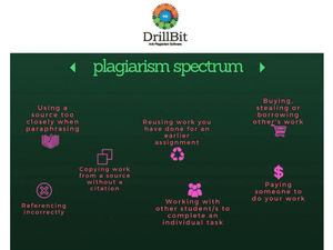 DrillBit Plagiarism Check