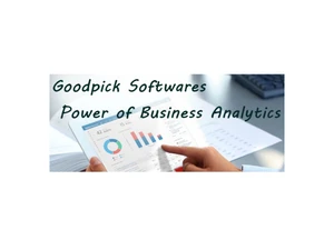 borg suite erp softwares