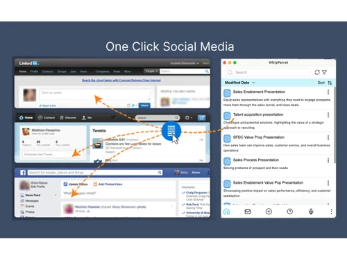 WittyParrot-Social Media