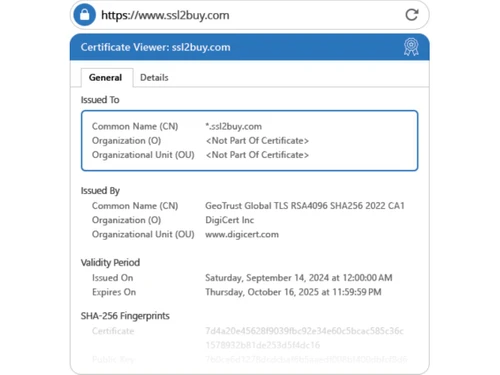 GeoTrust QuickSSL Premium Wildcard