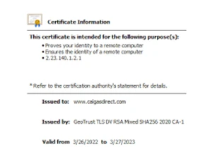 GeoTrust QuickSSL Premium Wildcard