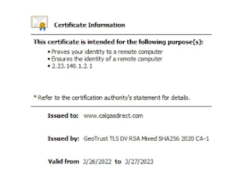 GeoTrust QuickSSL Premium Wildcard