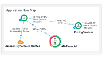 AppDynamics application flow map