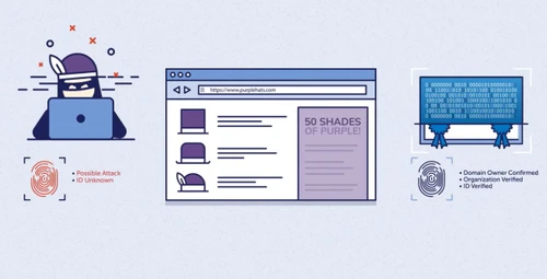 Digicert Secure Site Wildcard SSL
