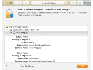 Digicert Wildcard SSL