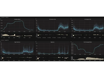 Microsoft Windows Remote Desktop Services processor