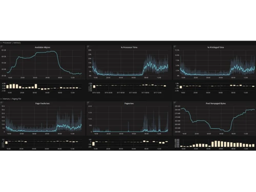 Microsoft Windows Remote Desktop Services processor
