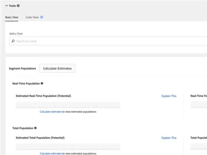 adobe audience manager-traits