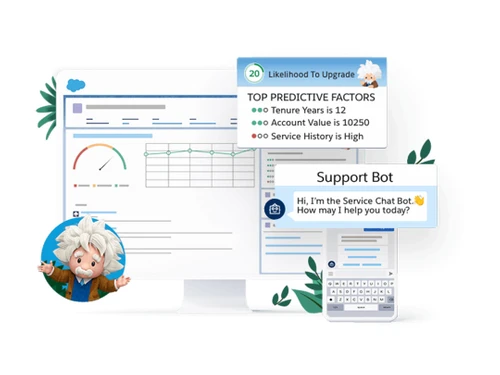 Salesforce app cloud einstein overview