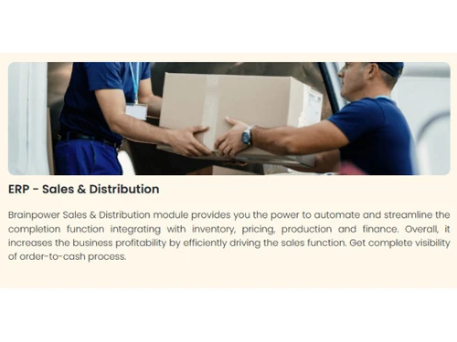 brainpower erp sales