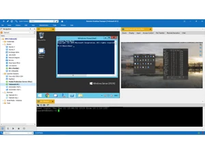 Devolutions Remote Desktop Manager access