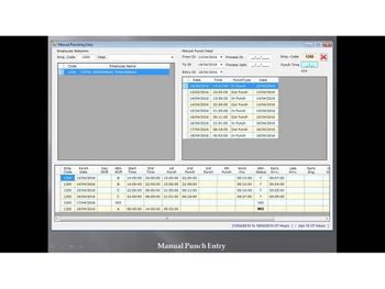 Sunrise Payroll punching