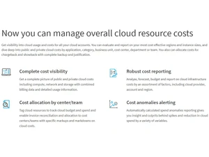 Flexera Cost Visibility