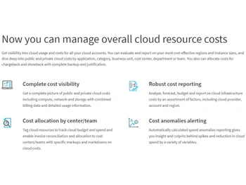 Flexera Cost Visibility
