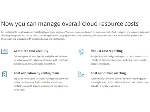 Flexera Cost Visibility