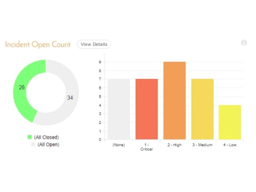 SpiraTest Incident Open Count