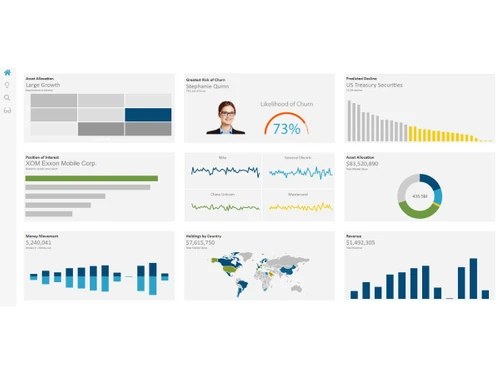 Information Builders Webfocus-Analysis