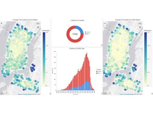 Information Builders Webfocus-Database