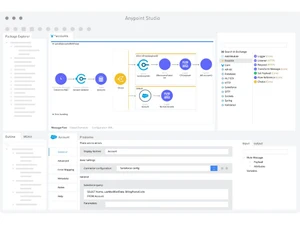 Mulesoft Anypoint Platform Accounts