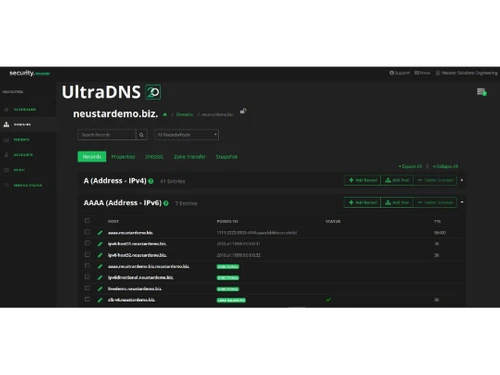 Neustar UltraDNS Ip address