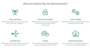 NGINX Plus1