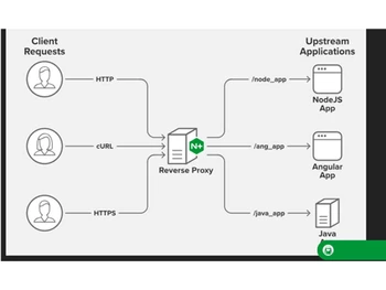 NGINX Plus http