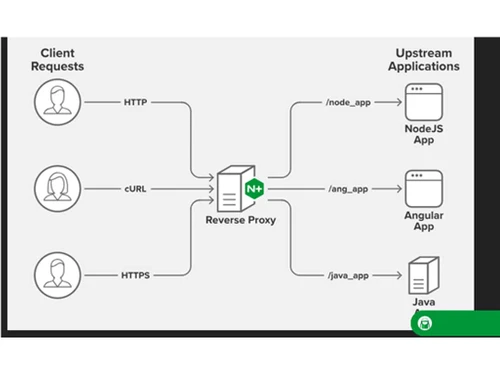 NGINX Plus http