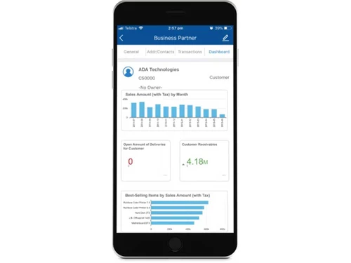 sap business one partner