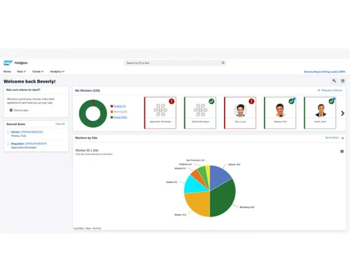 Sap-Fieldglass-Dashboard