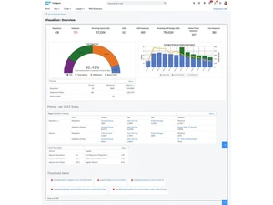 Sap-Fieldglass-Visualizer