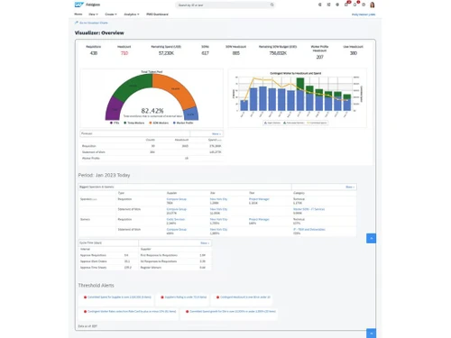 Sap-Fieldglass-Visualizer