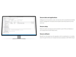 sap hana data security
