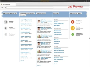 SAP HCM Professional