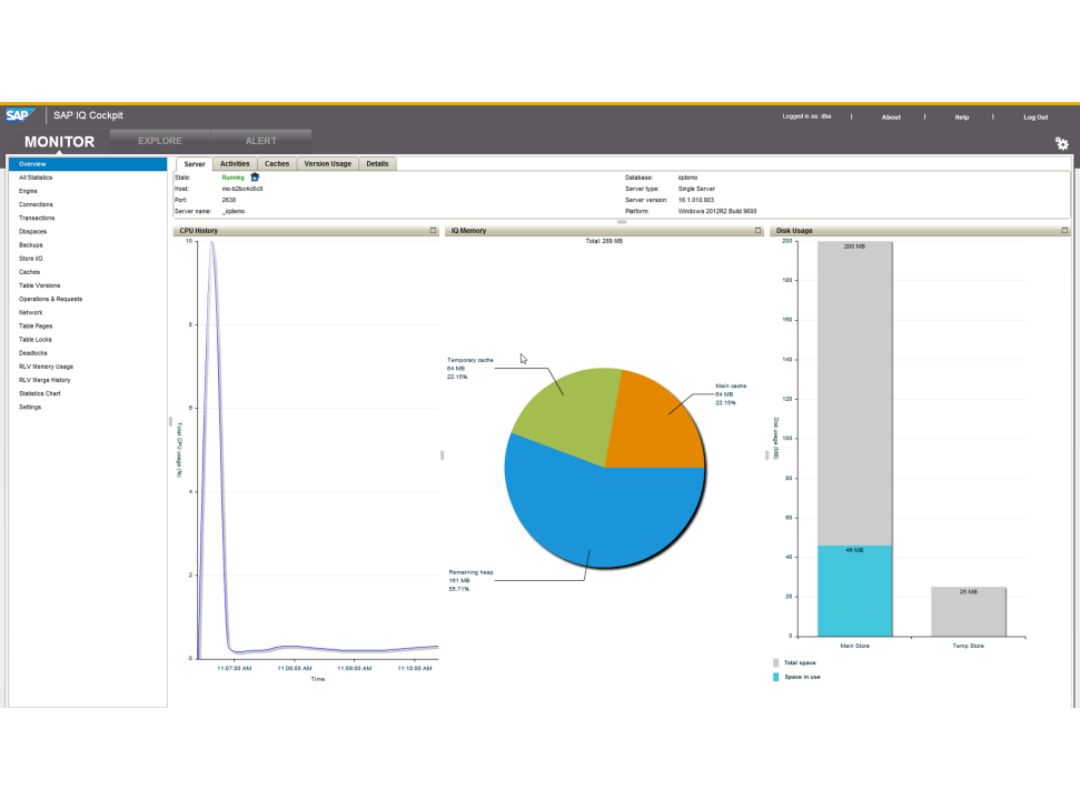 sap iq-monitor