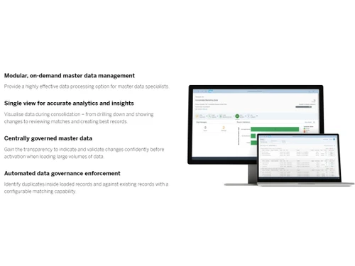 SAP Master Data Governance Analytics & insights