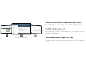 SAP Master Data Governance Data standards