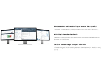 SAP Master Data Governance Data standards
