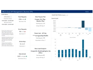 Tibco Cloud API Management Key Analytics