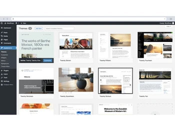 Wordpress Customization