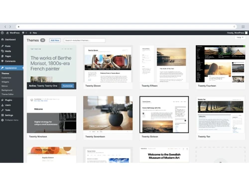 Wordpress Customization